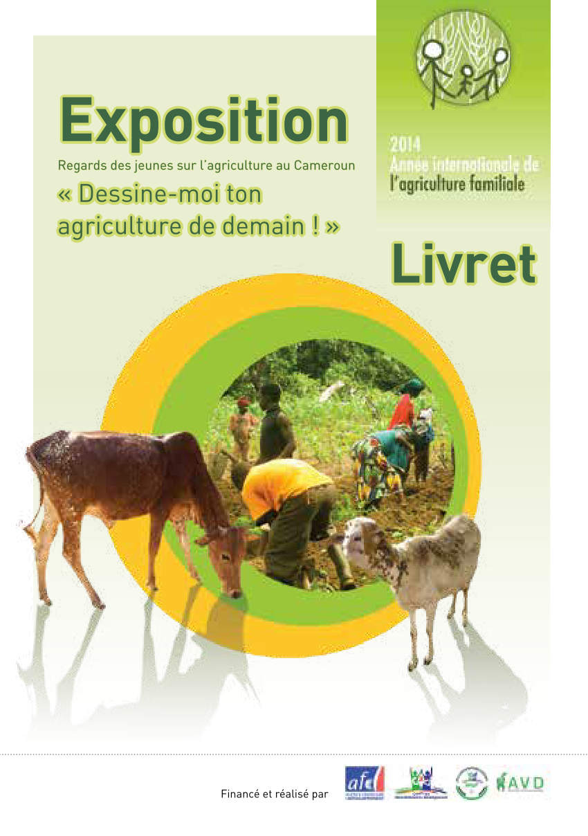 (PDF) Regards des jeunes sur l’agriculture au Cameroun