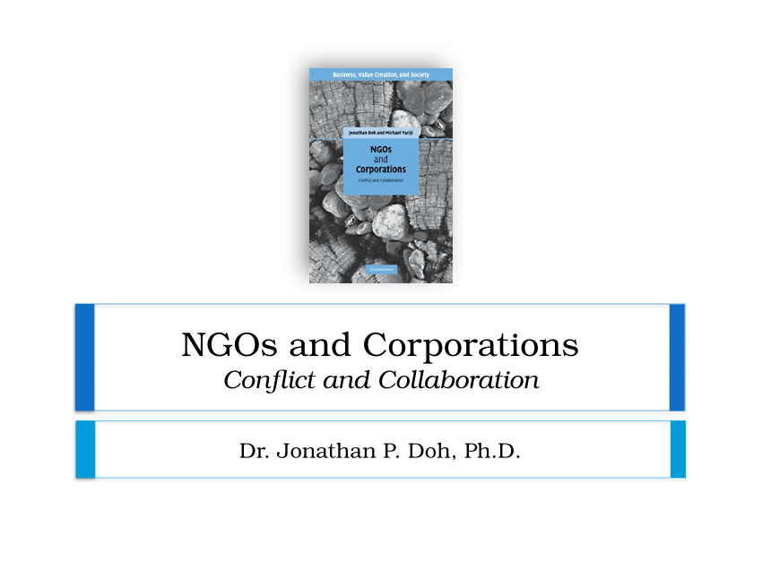 NGO typological matrix Source : M. Yaziji, J. Doh, NGOs and