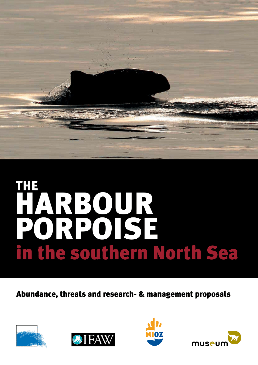 PDF) The harbour porpoise (Phocoena phocoena L.) in the southern