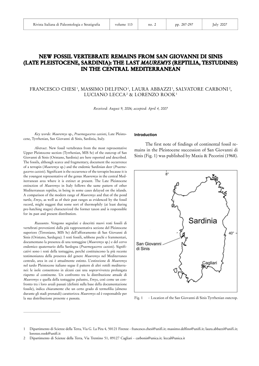 PDF New fossil vertebrate remains from San Giovanni di Sinis  