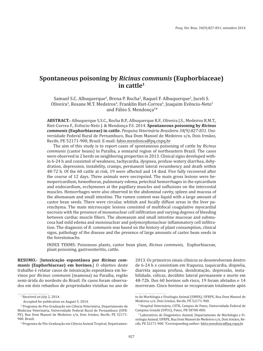 Pdf Spontaneous Poisoning By Ricinus Communis Euphorbiaceae In Cattle