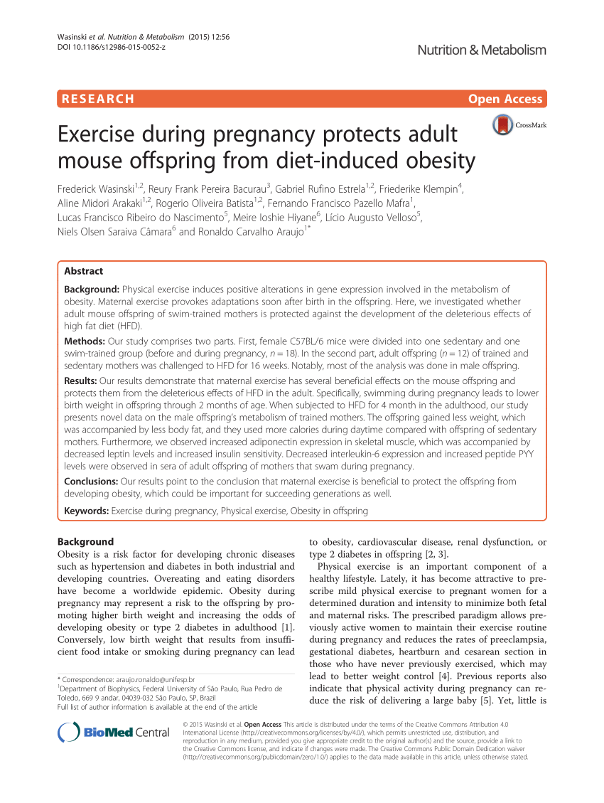 PDF Exercise during pregnancy protects adult mouse offspring from  