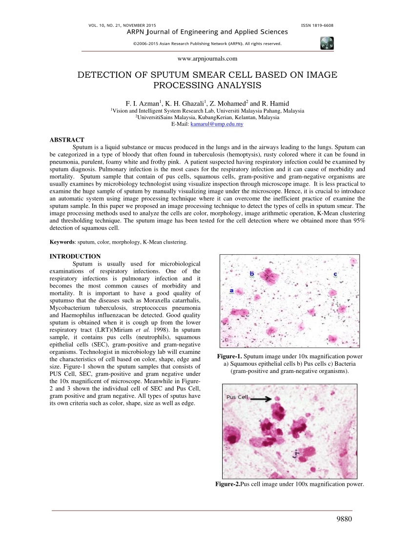 Miraculous Low Clothes PDF) Detection of sputum smear cell based on image processing analysis