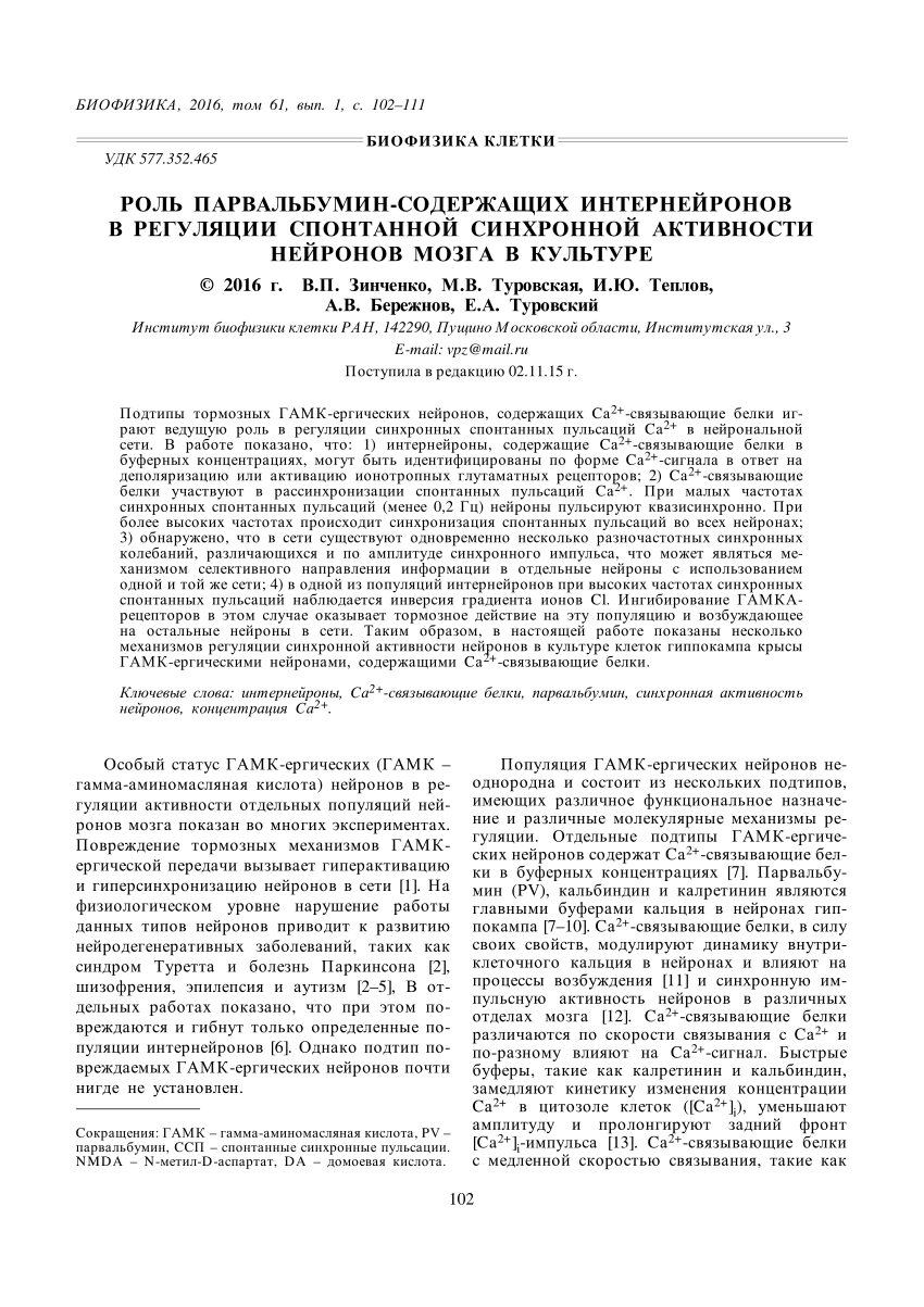 PDF) Роль парвальбумин-содержащих интернейронов в регуляции спонтанной  синхронной активности нейронов мозга в культуре,