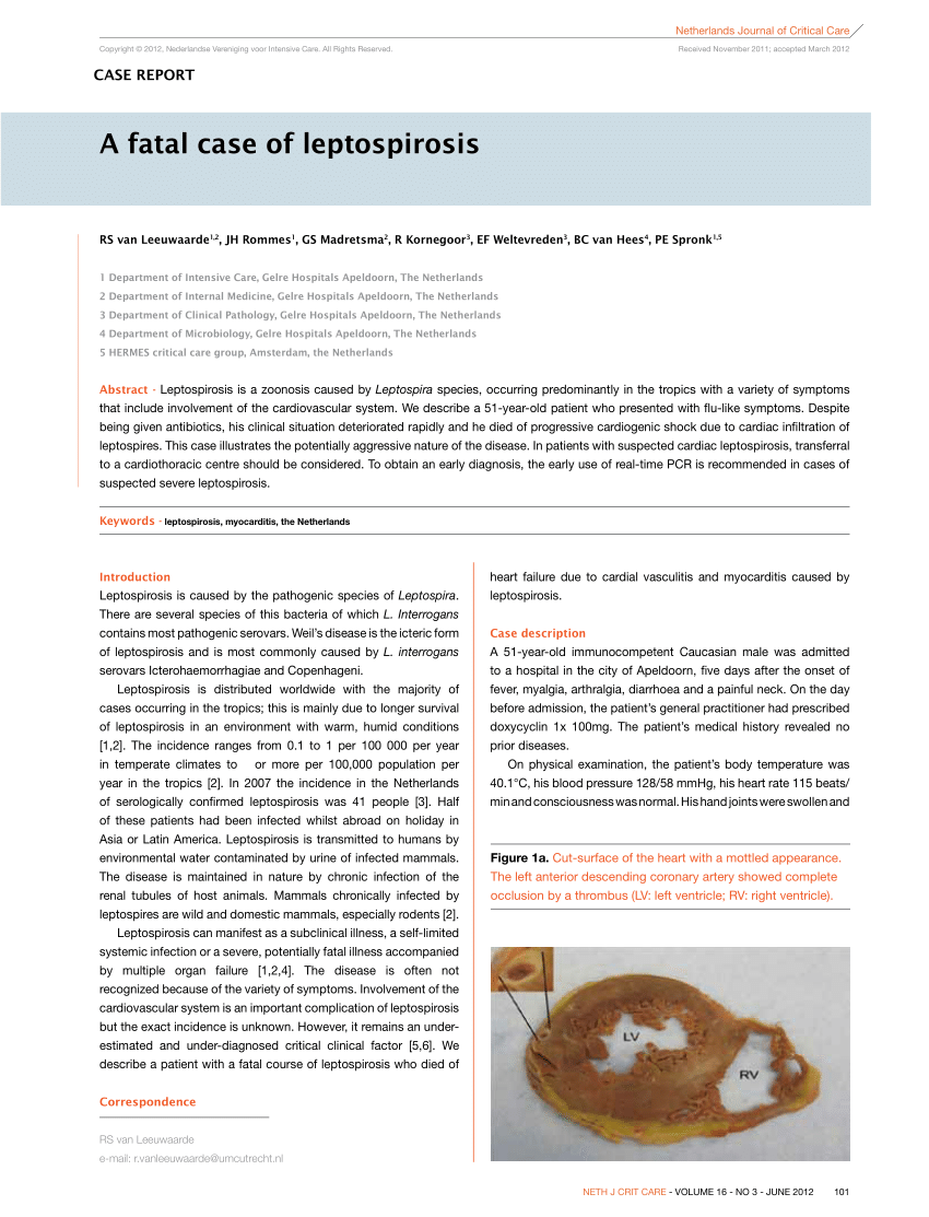 leptospirosis case study