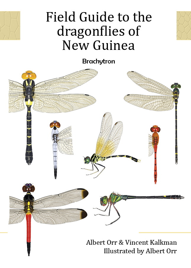 (PDF) Field Guide to the dragonflies of New Guinea