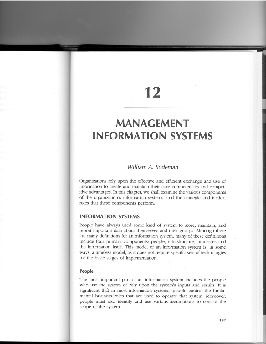 term paper on management information system