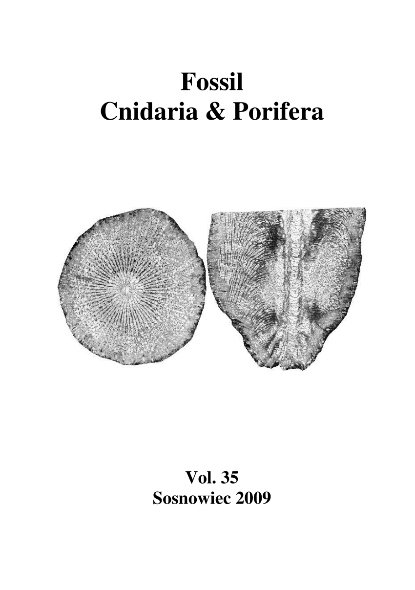 PDF Fossil Cnidaria Porifera 35