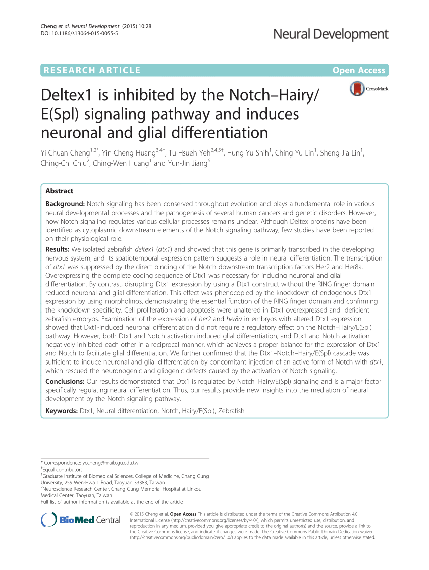 Pdf Deltex1 Is Inhibited By The Notchhairyespl Signaling Pathway 