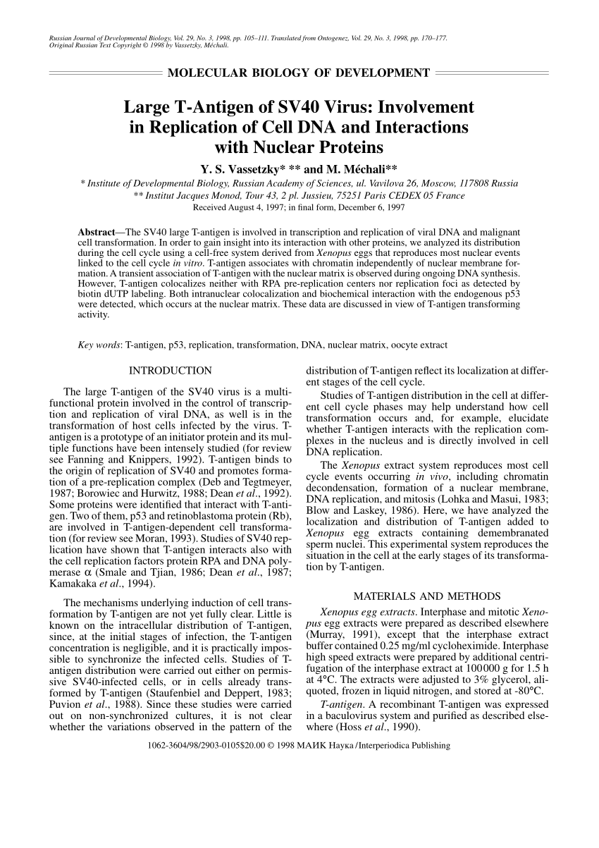 (PDF) Large T-Antigen of SV40 Virus: Involvement in Replication of Cell