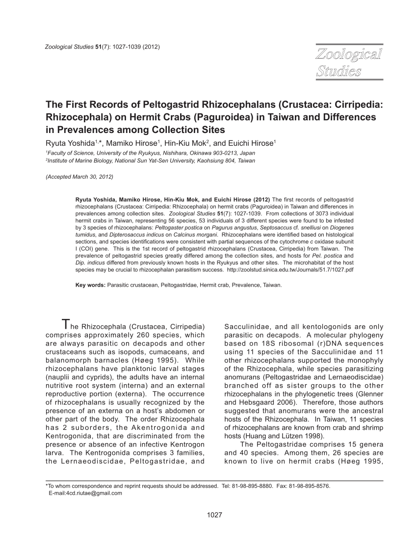 (PDF) The First Records of Peltogastrid Rhizocephalans (Crustacea ...