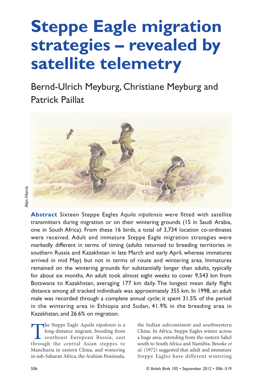 Pdf Steppe Eagle Migration Strategies Revealed By Satellite Telemetry