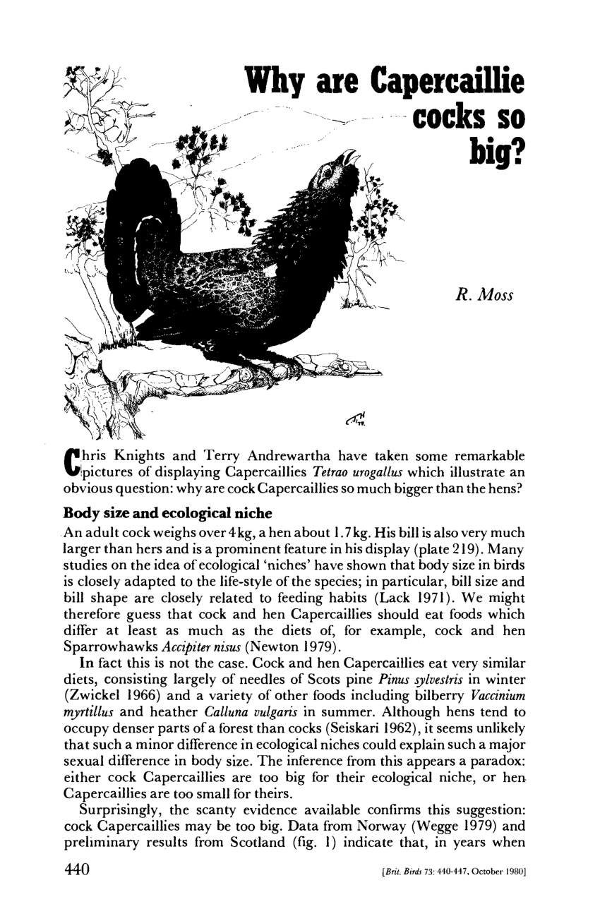 (PDF) Why are capercaillie cocks so big?