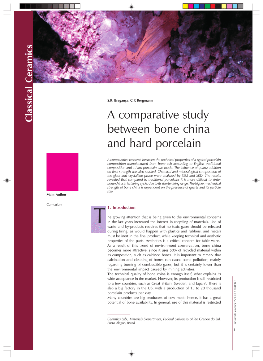 bone china research paper
