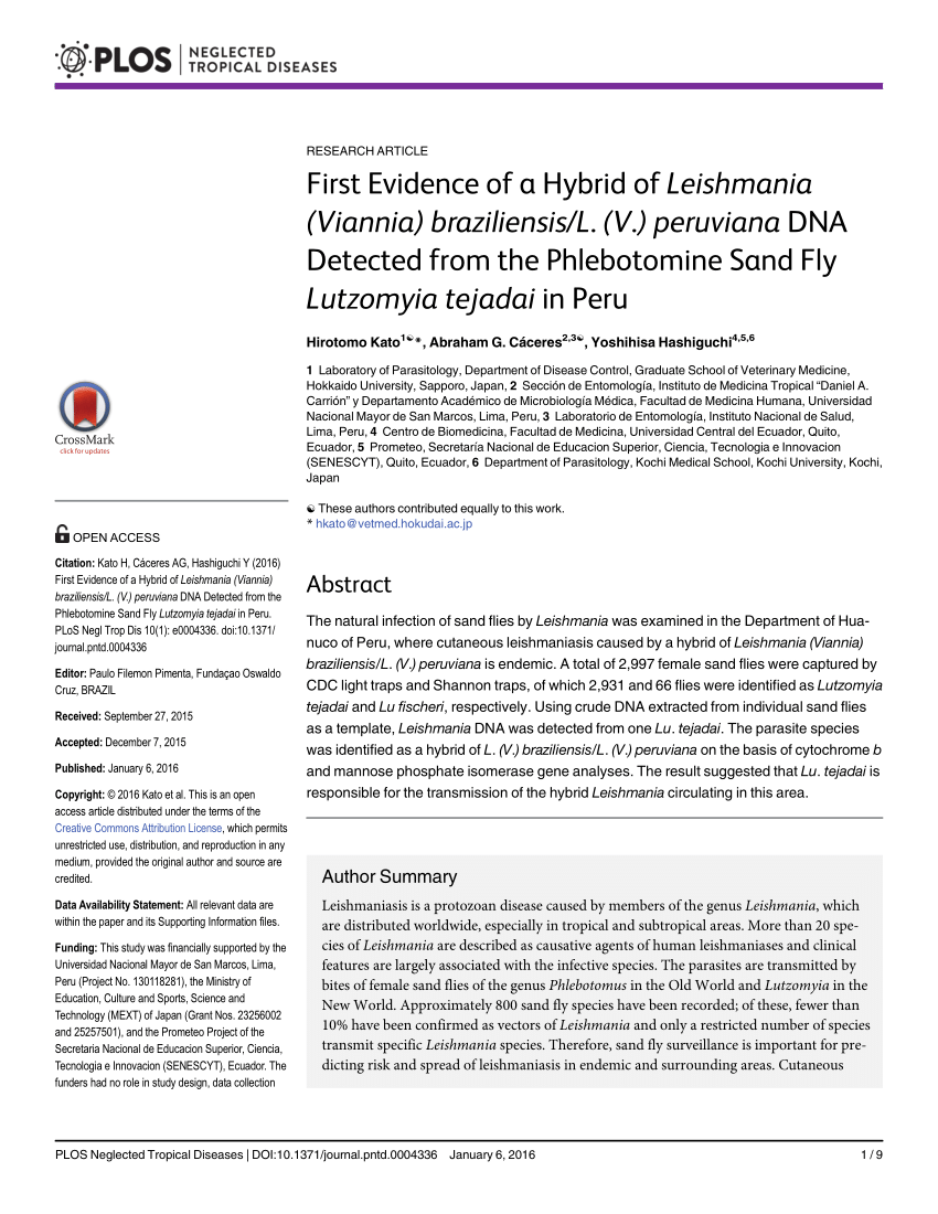 Pdf First Evidence Of A Hybrid Of Leishmania Viannia Braziliensis L V Peruviana Dna