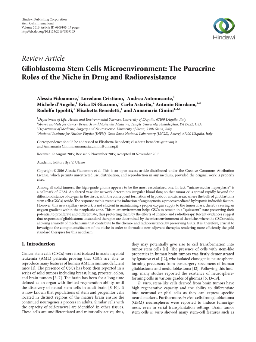 Pdf Glioblastoma Stem Cells Microenvironment The Paracrine Roles