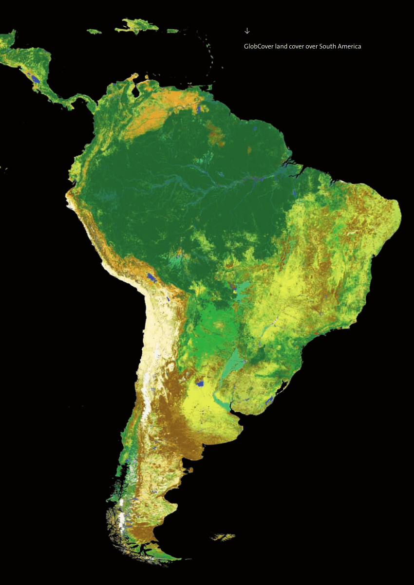 Pdf The First 300 M Global Land Cover Map For 2005 Using Envisat