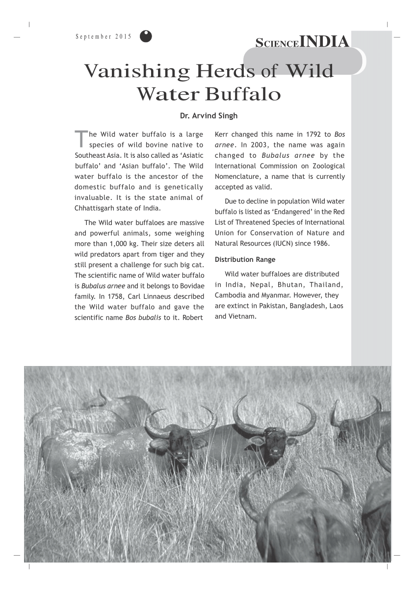 (PDF) Vanishing Herds of Wild Water Buffalo