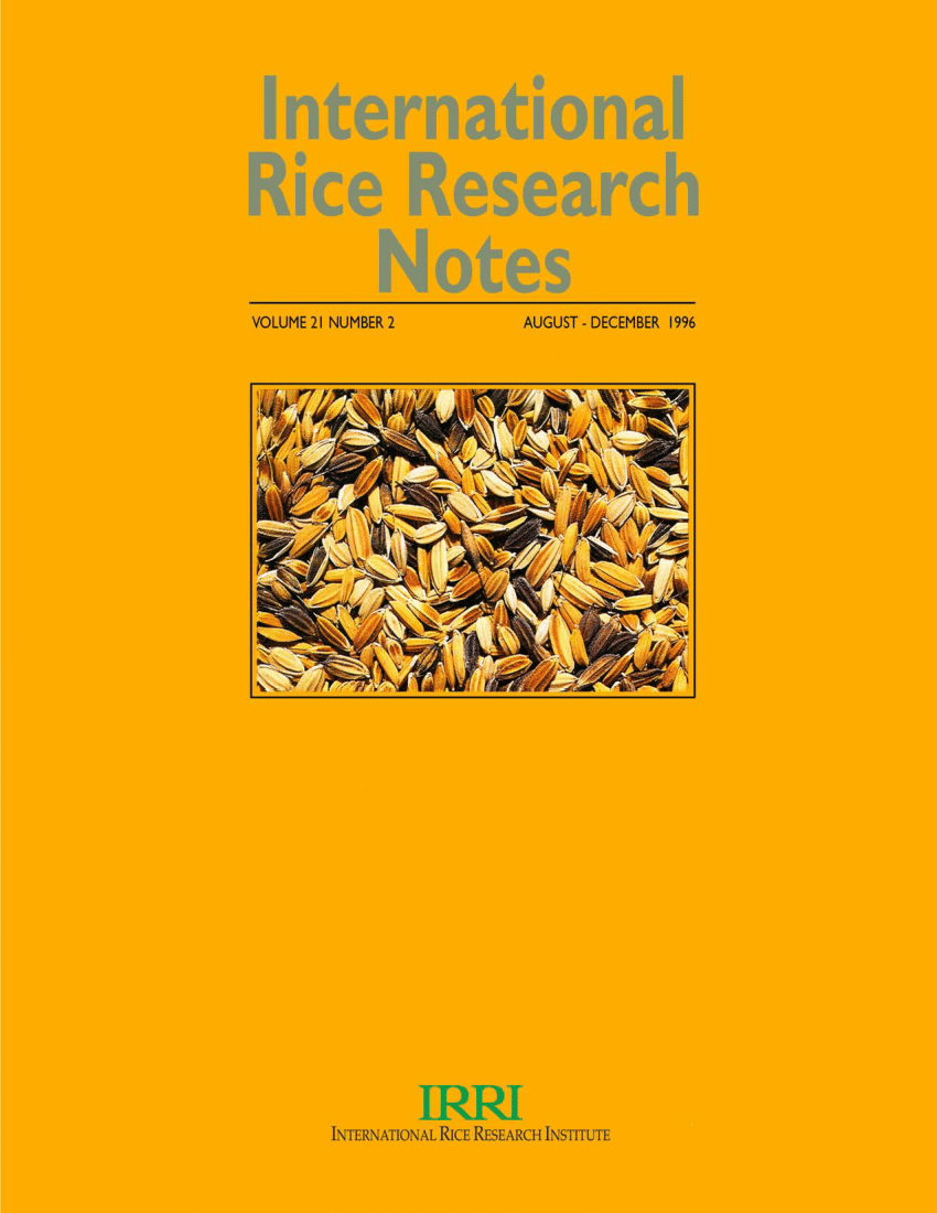 research paper about rice