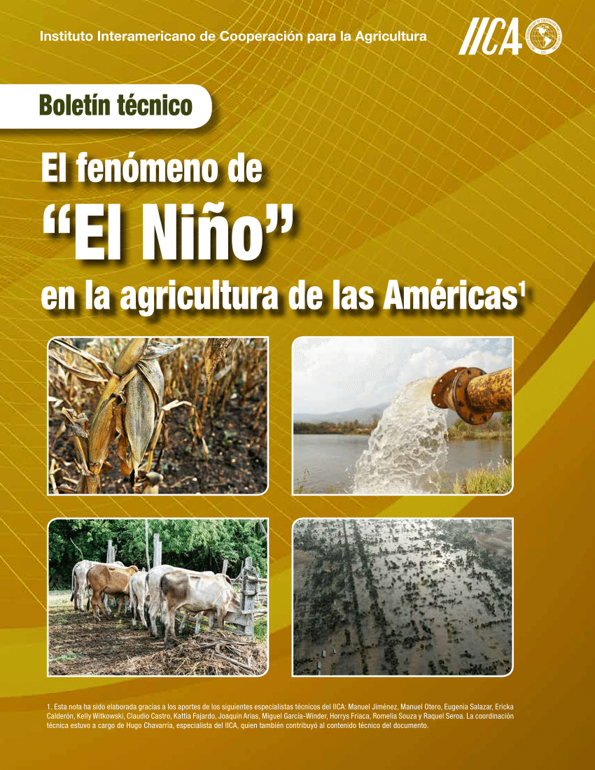 Fenomeno Del Niño Causas Y Consecuencias En El Peru Actividad Del Niño 3601