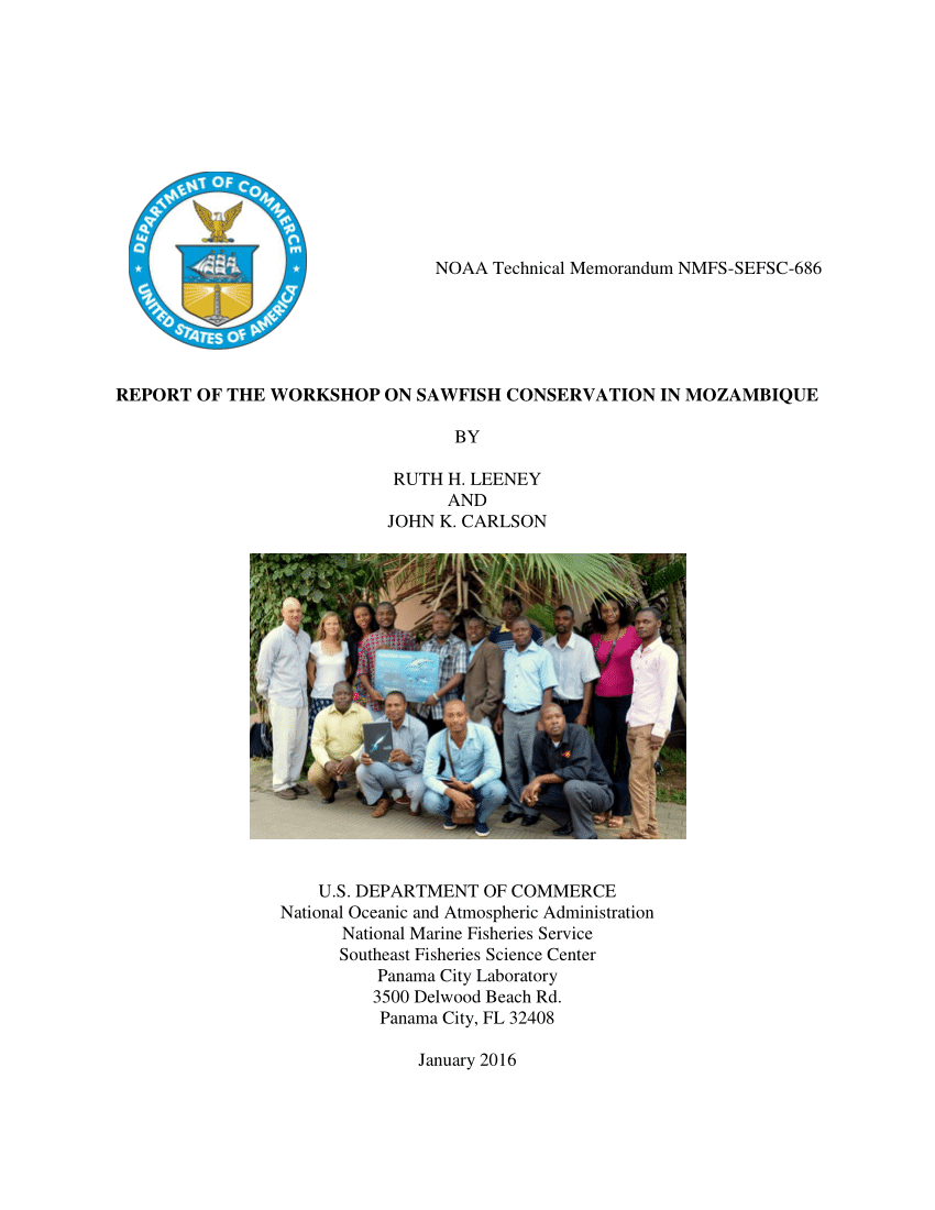 Pdf Report Of The Workshop On Sawfish Conservation In Mozambique