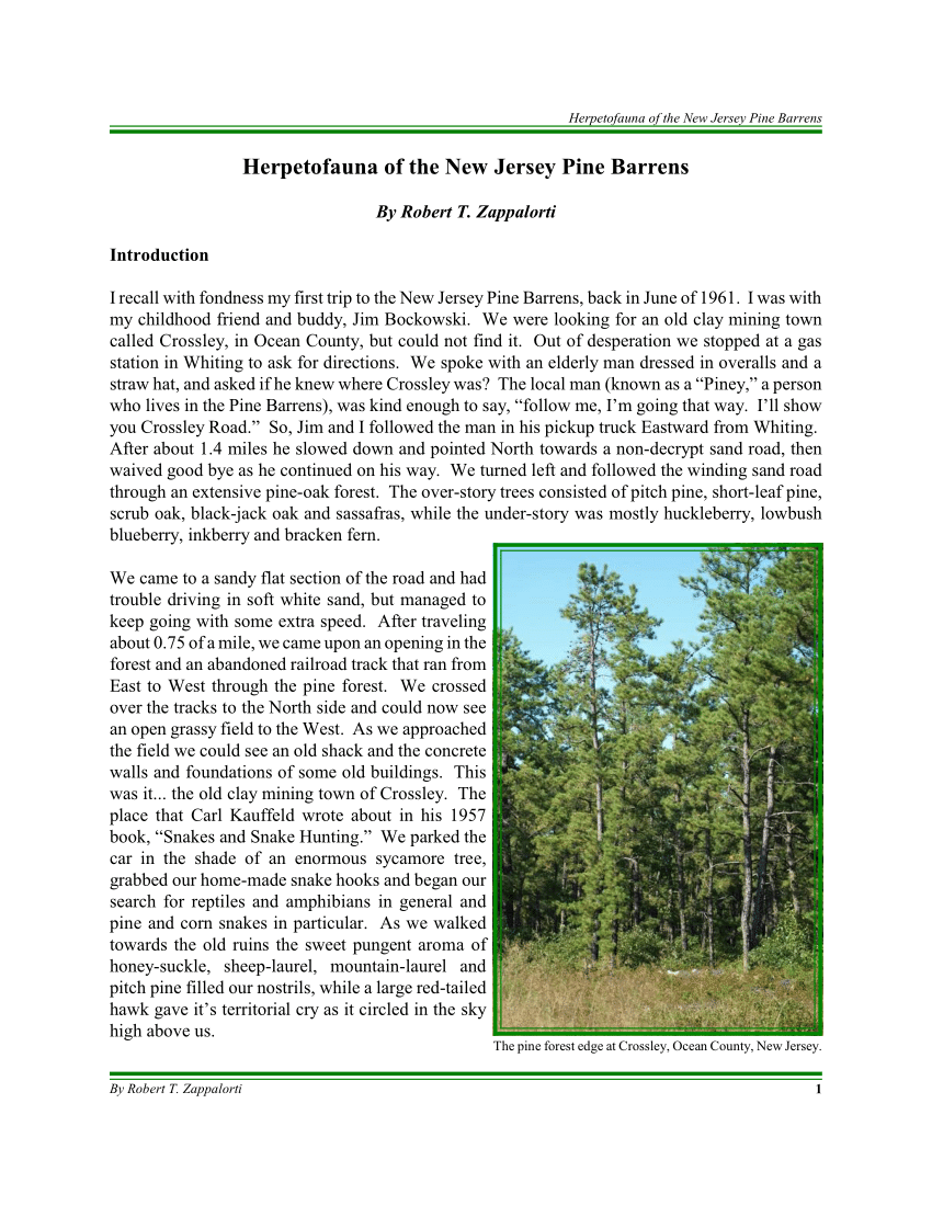 Summer and Reptiles in the Pine Barrens - Protecting the New Jersey  Pinelands and Pine Barrens