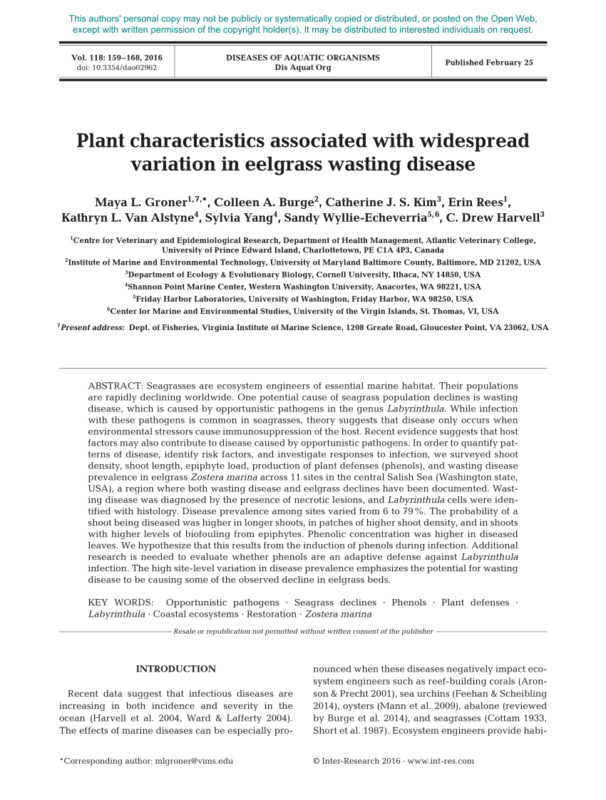 Pdf Plant Characteristics Associated With Widespread Variation In Eelgrass Wasting Disease