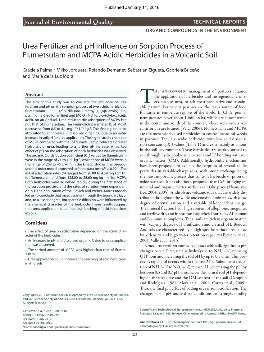 MCPA-Level-1-Maintenance Popular Exams