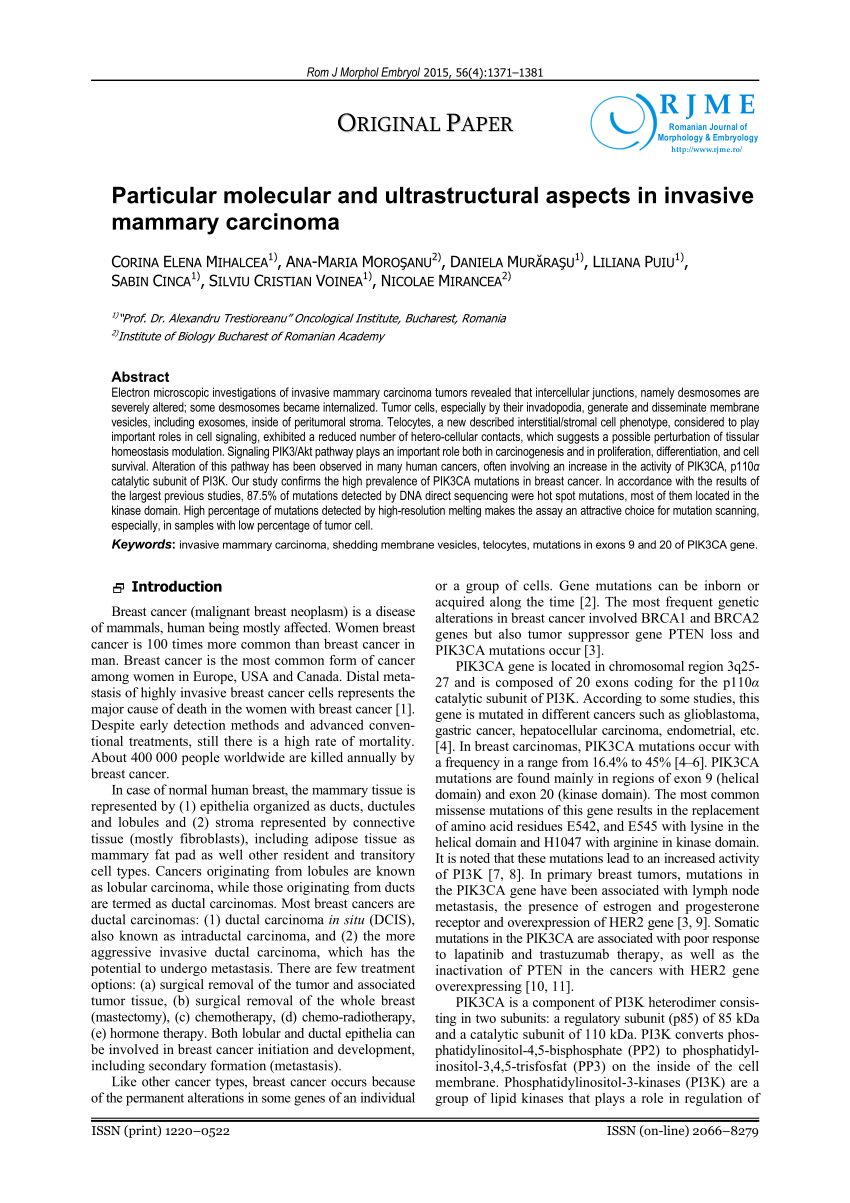 Pdf Particular Molecular And Ultrastructural Aspects In Invasive Mammary Carcinoma