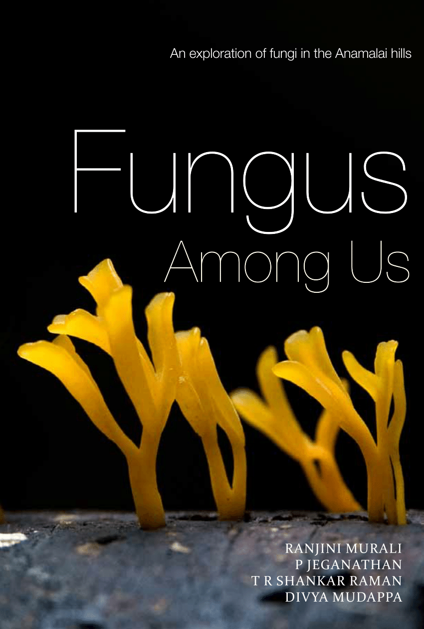 Pdf Fungus Among Us An Exploration Of Fungi In The Anamalai Hills