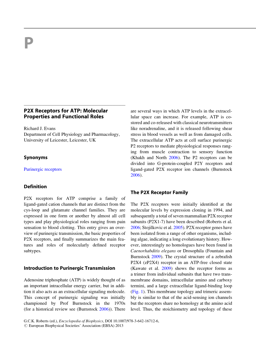 https://i1.rgstatic.net/publication/290655249_Polysaccharides_Biophysical_Properties/links/570a87ed08ae2eb9421fc6a6/largepreview.png