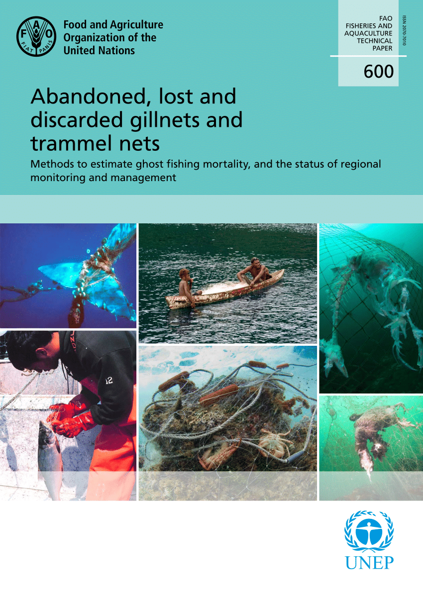 PDF) Abandoned, Lost and Discarded Gillnets and Trammel Nets. Methods to  Estimate Ghost Fishing Mortality, and Status of Regional Monitoring and  Management