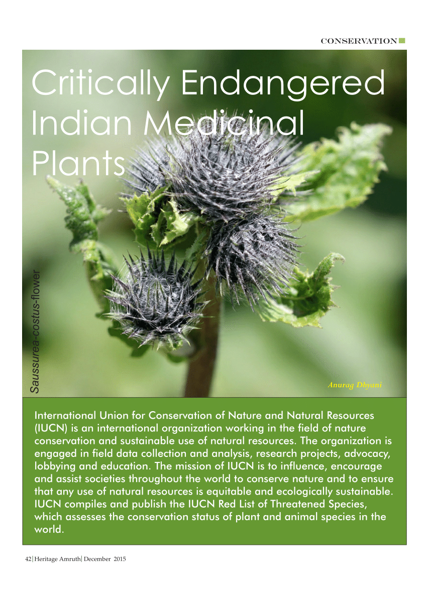 PDF) Critically Endangered Indian Medicinal Plants