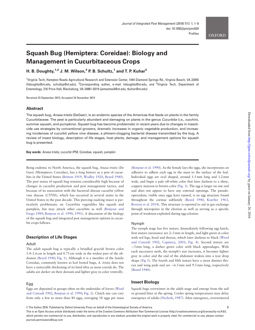 Pdf Squash Bug Hemiptera Coreidae Biology And Management In Cucurbitaceous Crops