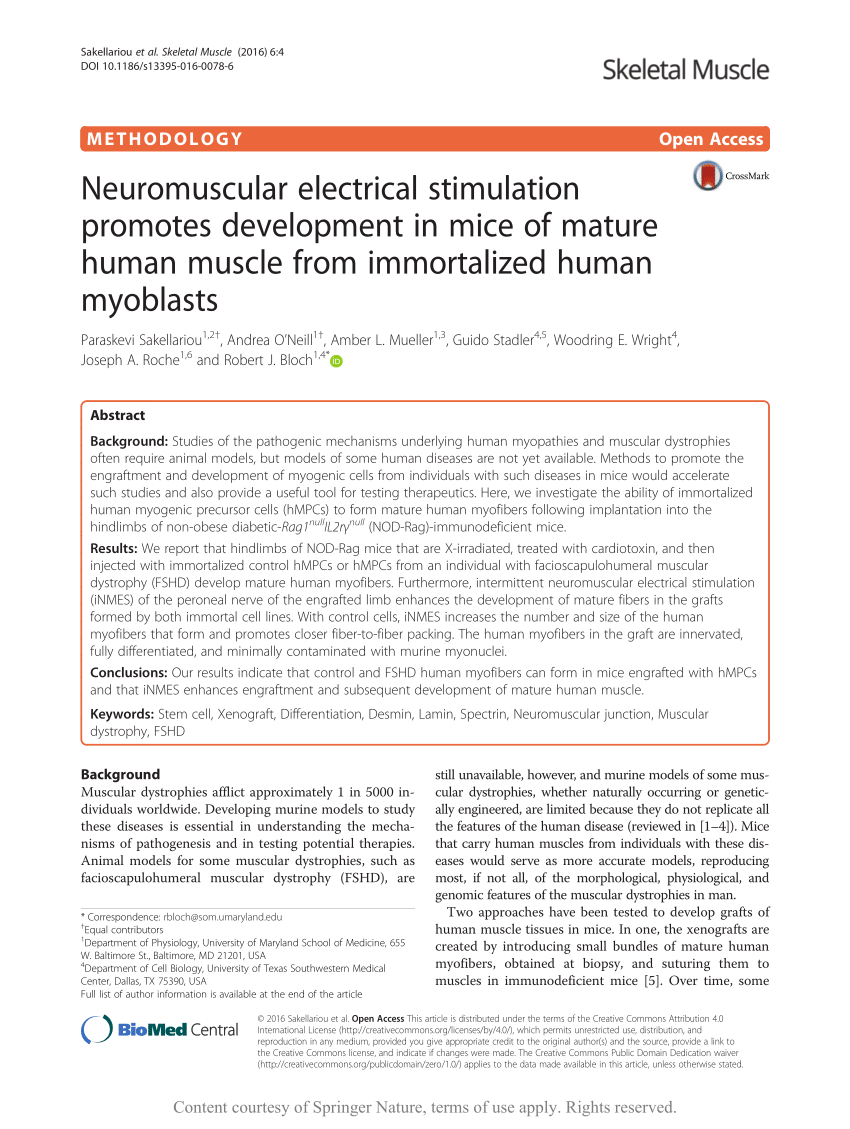 https://i1.rgstatic.net/publication/291366348_Neuromuscular_electrical_stimulation_promotes_development_in_mice_of_mature_human_muscle_from_immortalized_human_myoblasts/links/5fc4658c92851c933f76a67d/largepreview.png