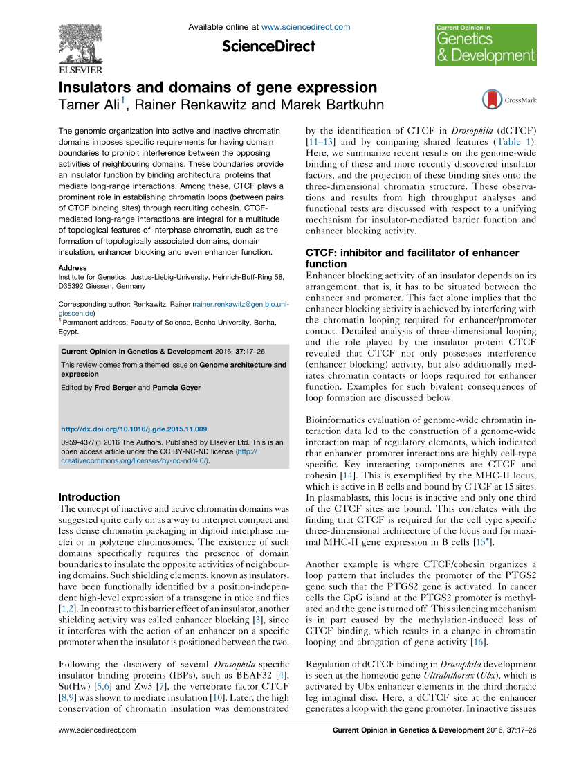 PDF) Insulators and domains of gene expression