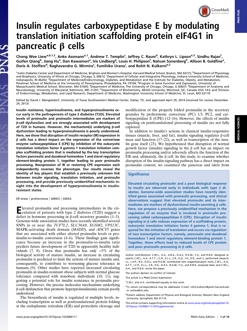 Pdf Insulin Signaling Modulates Proinsulin Processing By Regulating Translation Initiation In Pancreatic Beta Cells