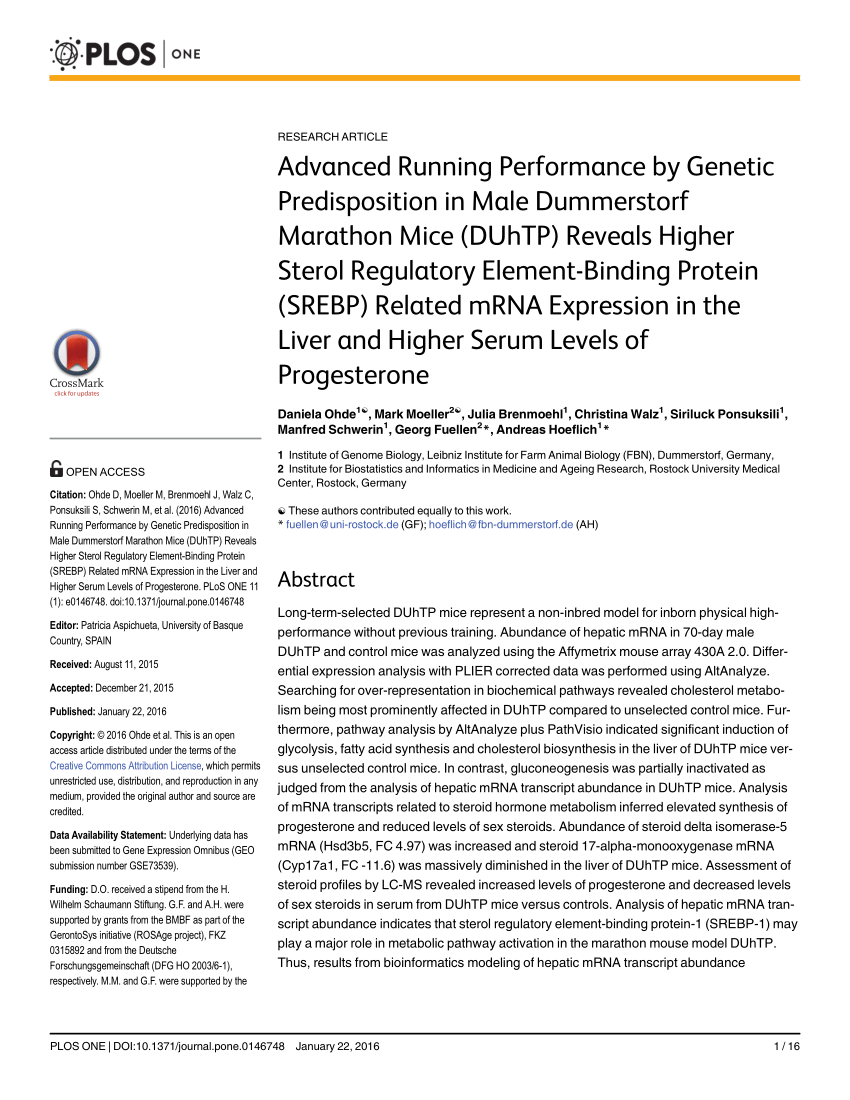 Pdf Advanced Running Performance By Genetic Predisposition In Male Dummerstorf Marathon Mice Duhtp Reveals Higher Sterol Regulatory Element Binding Protein Srebp Related Mrna Expression In The Liver And Higher Serum Levels Of Progesterone