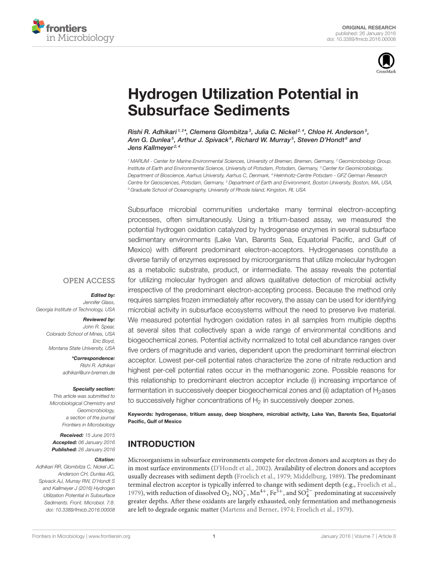 PDF) Hydrogen Utilization Potential in Subsurface Sediments
