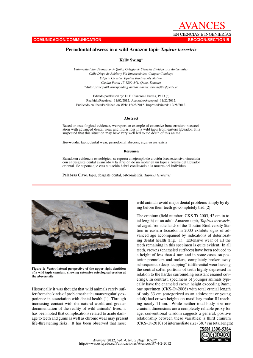 PDF) Absceso periodontal en un Tapir amaznico salvaje Tapirus ...