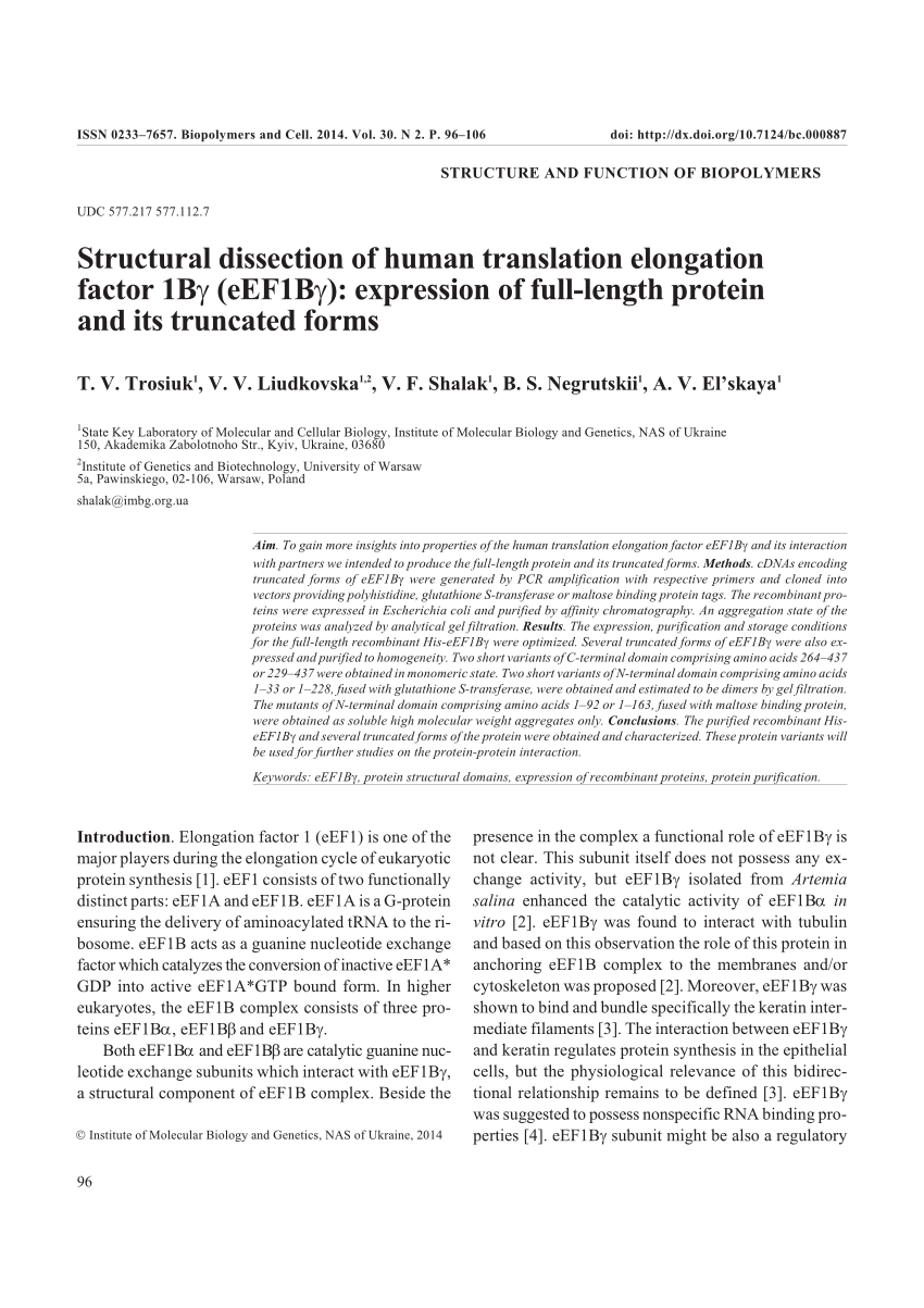 Pdf Structure And Function Of Biopolymers Structural Dissection Of Human Translation Elongation Factor 1bg Eef1bg Expression Of Full Length Protein And Its Truncated Forms