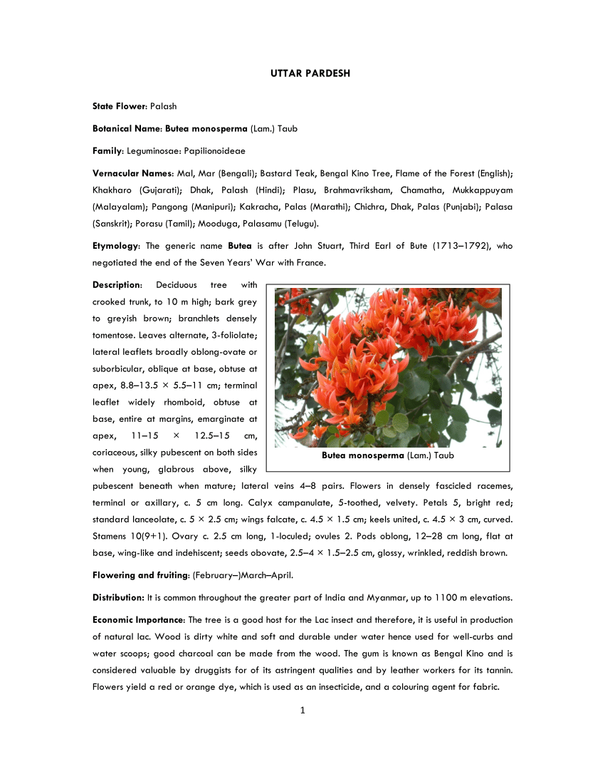 pdf) state flower of uttar pradesh