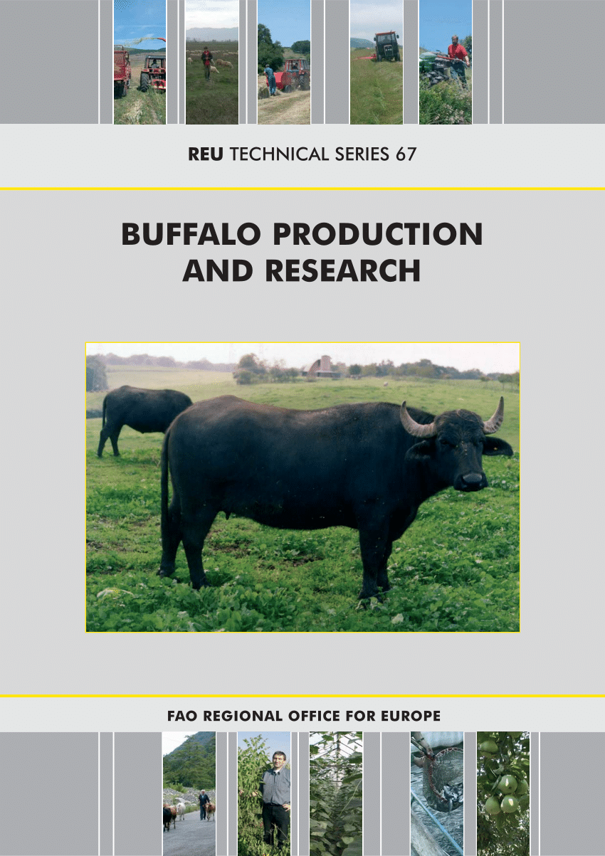 (PDF) Buffalo population and strategies in the world