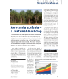 Preview image for Acrocomia aculeata-a sustainable oil crop