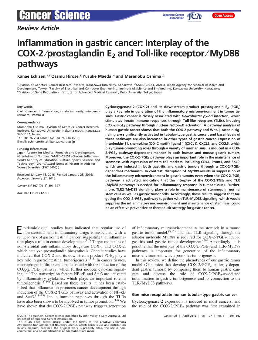 Pdf Inflammation In Gastric Cancer Interplay Of The Cox 2 Pge 2 And Tlr Myd Pathways
