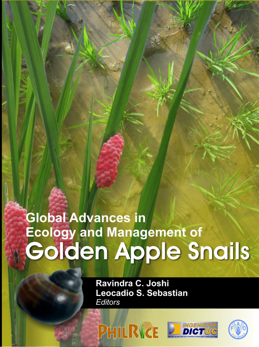 research paper about golden apple snail