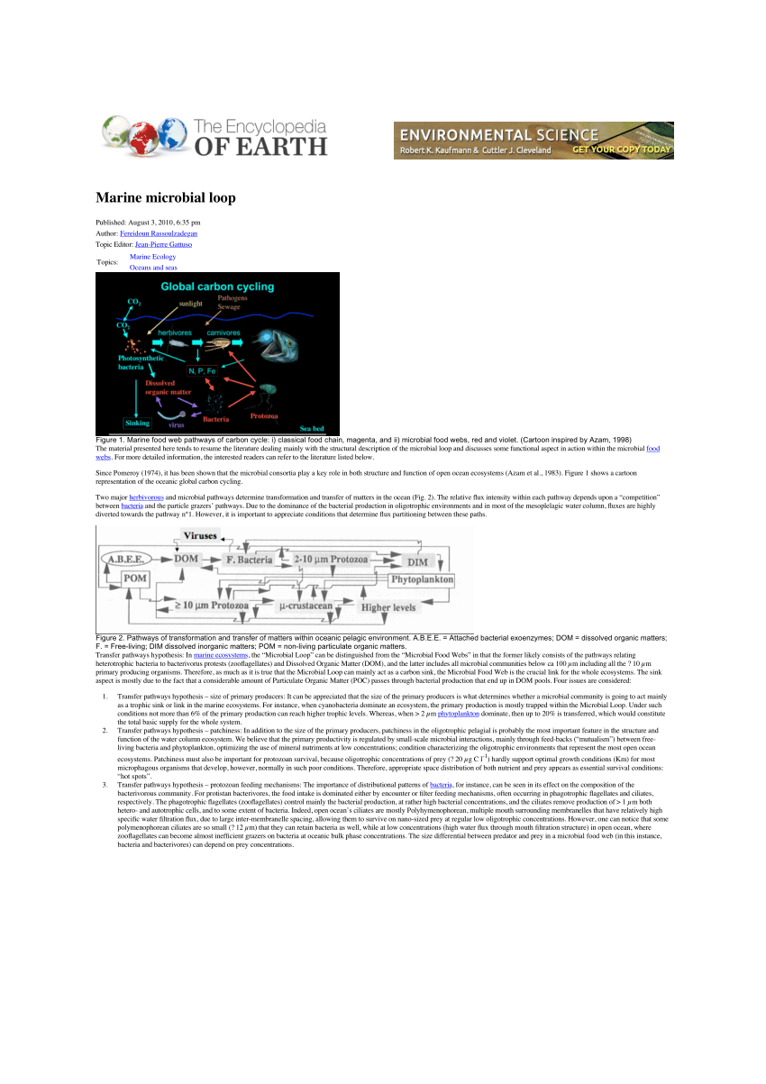 (PDF) Marine microbial loop