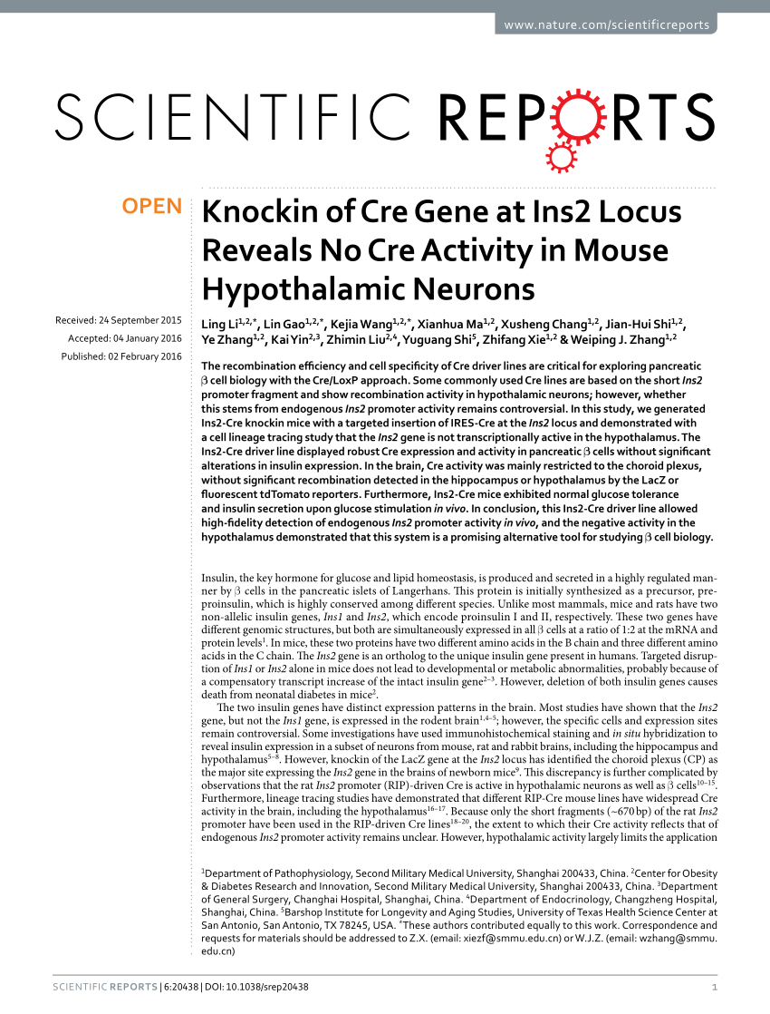 PDF) Knockin of Cre Gene at Ins2 Locus Reveals No Cre Activity in 