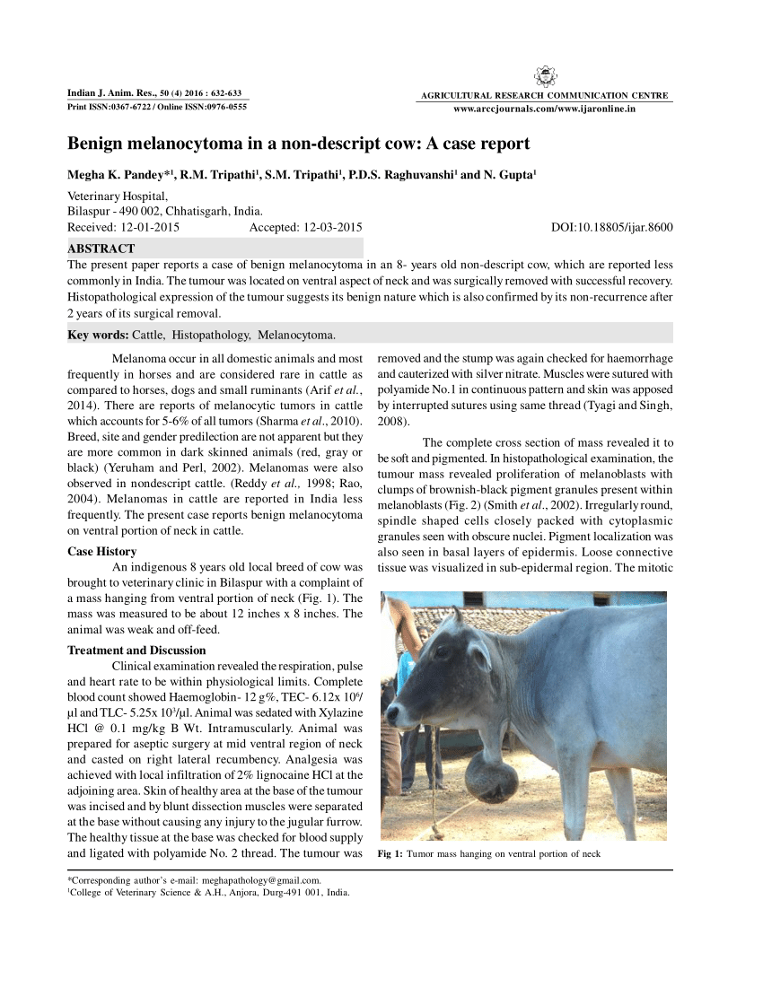 PDF) Benign melanocytoma in a non-descript cow: A case report
