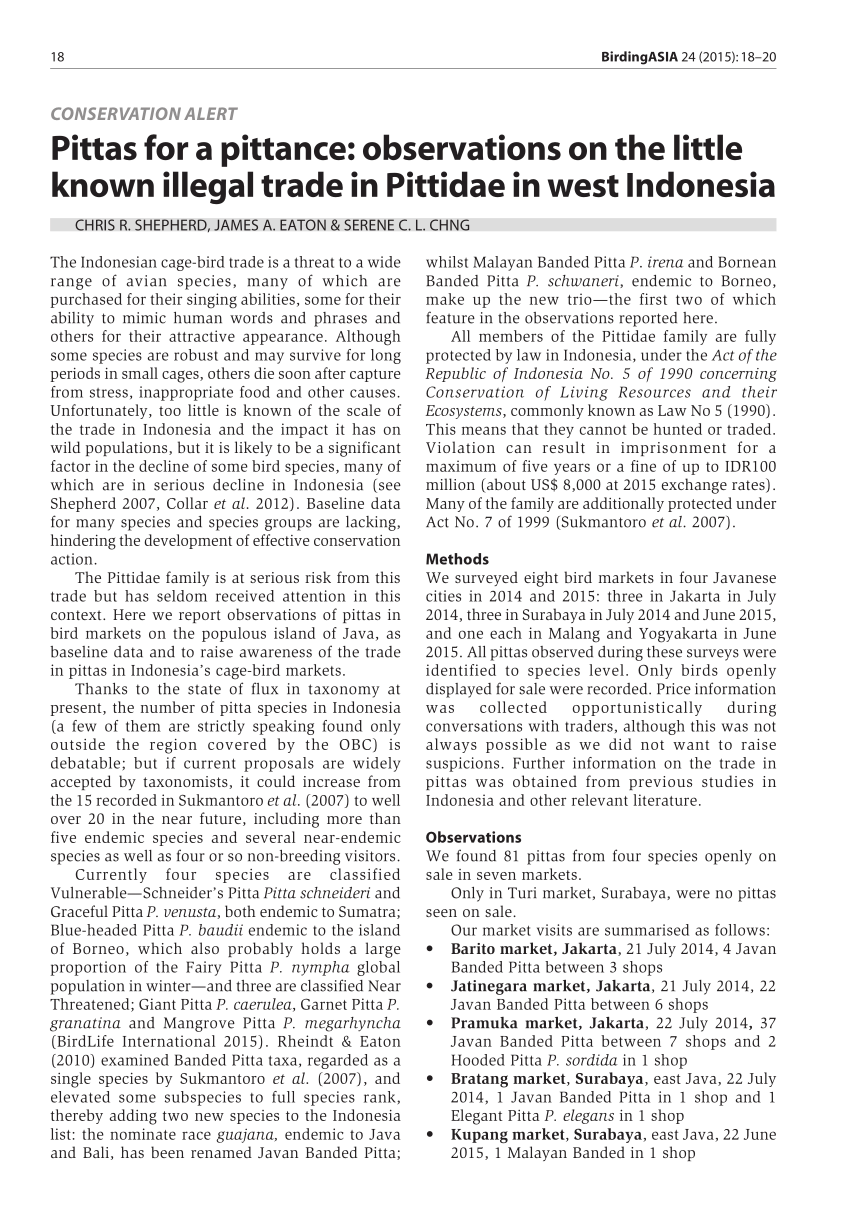 PDF) Pittas for a pittance: observations on the little known illegal trade  in Pittidae in west Indonesia.